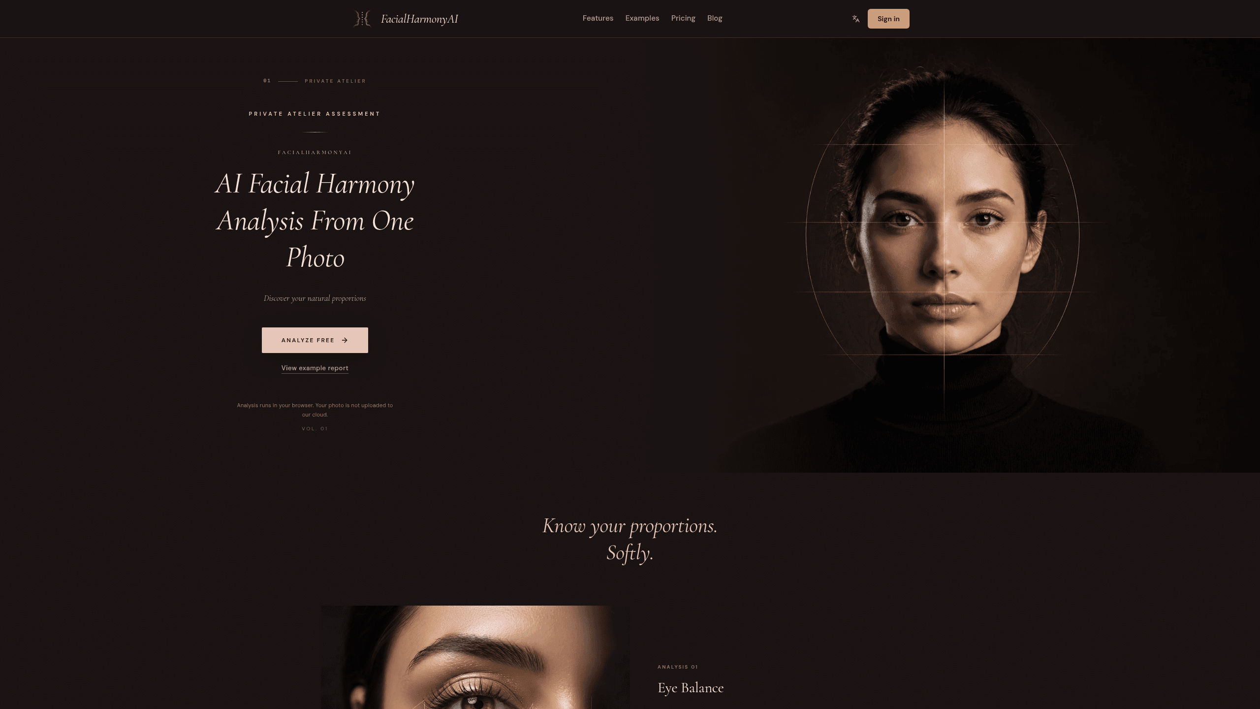 Screenshot of FacialHarmonyAI website