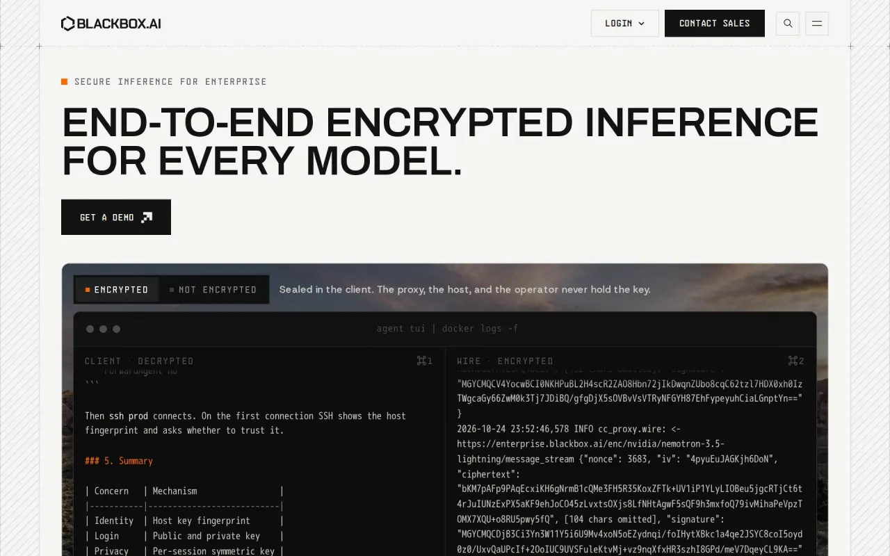 Screenshot of BLACKBOX AI