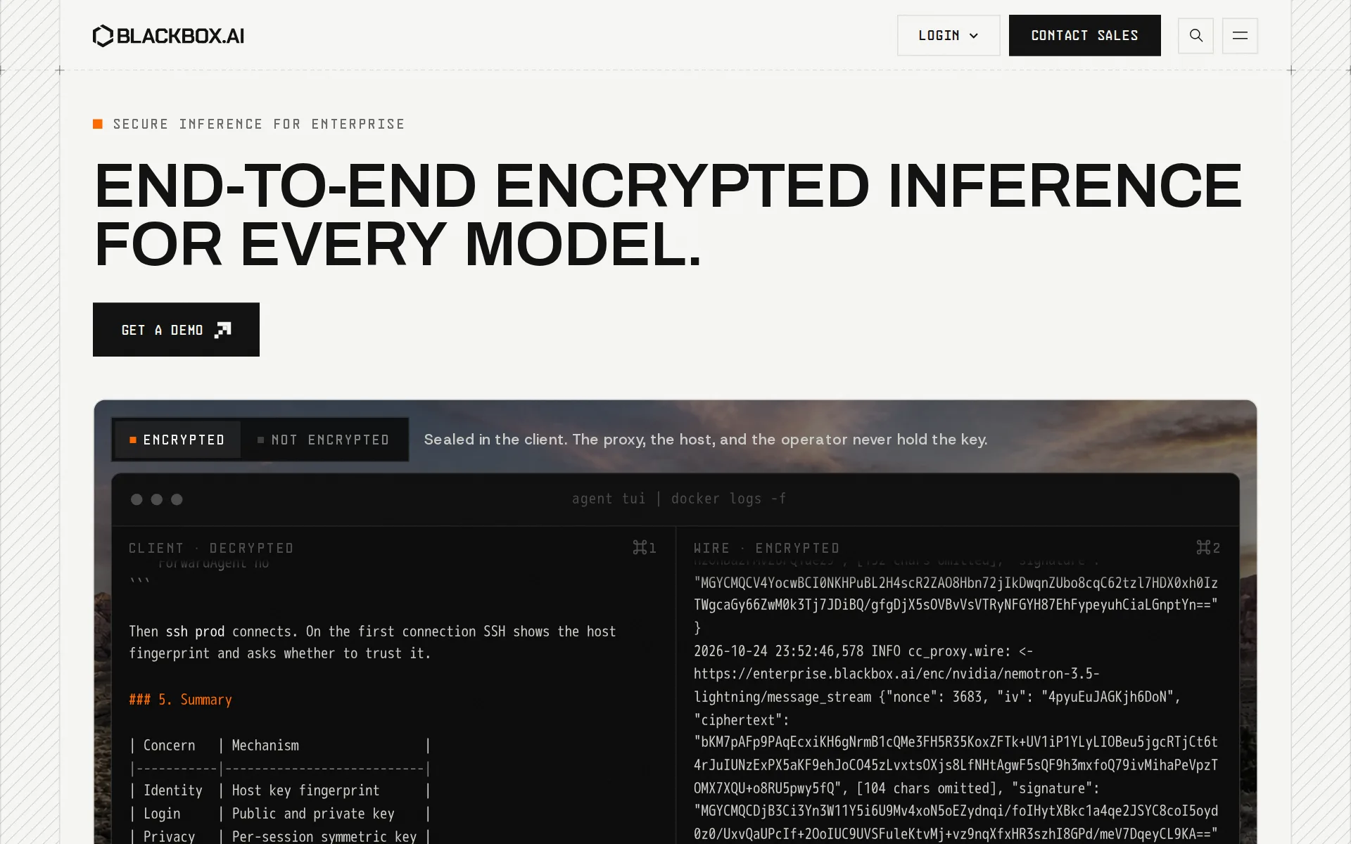 Screenshot of BLACKBOX AI